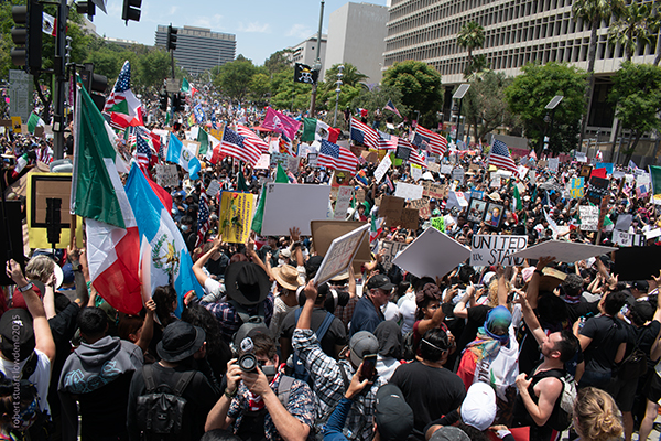Birds Eye View of the Government Takeover and Repsonse to Trump
